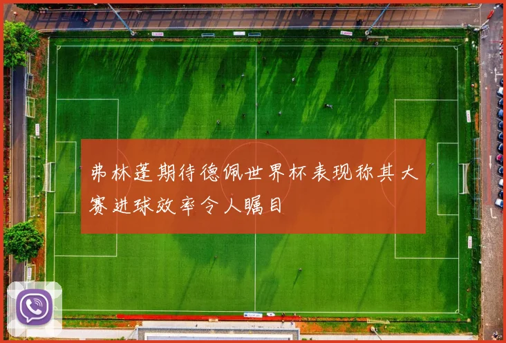 弗林蓬期待德佩世界杯表现称其大赛进球效率令人瞩目