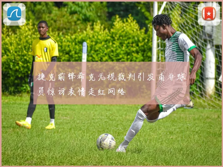 捷克前锋希克无视裁判引发南非球员惊讶表情走红网络