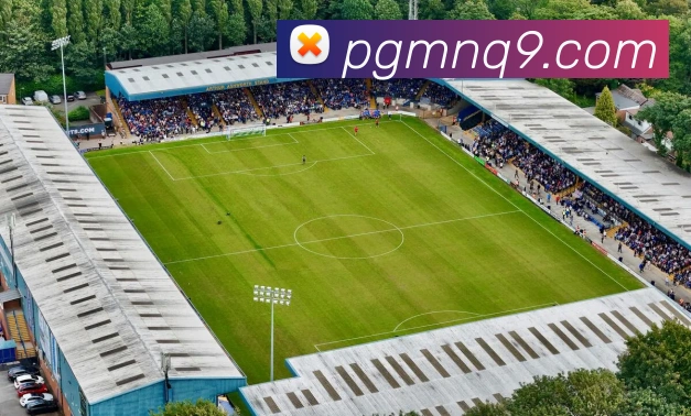 pg电子模拟器APP 封面图